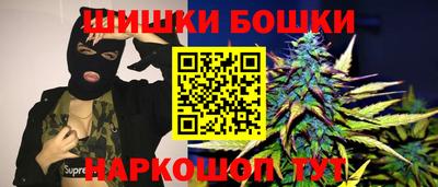 прущие грибы Бердск