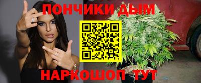 прущие грибы Бердск