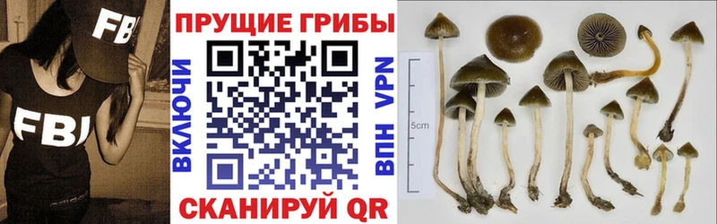 хочу наркоту Мончегорск Галлюциногенные грибы Magic Shrooms