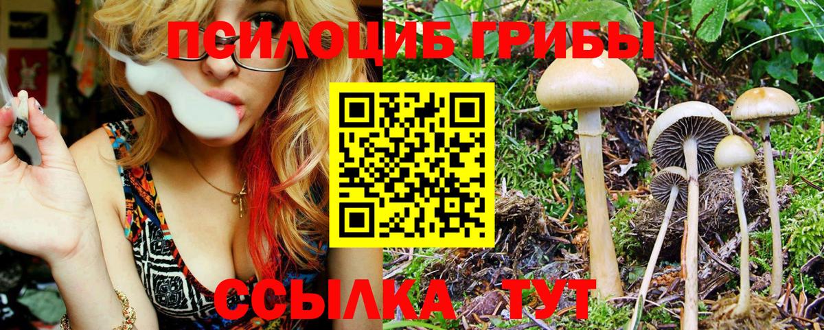 Галлюциногенные грибы GOLDEN TEACHER  Вход с VPN  где продают   Мончегорск 